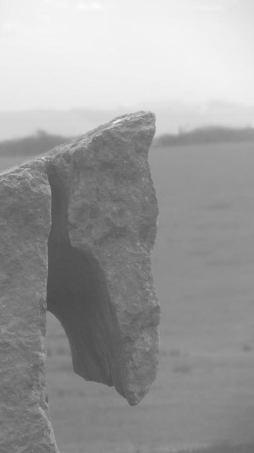 Ballyvoe House Doolin Bed & Breakfast エクステリア 写真